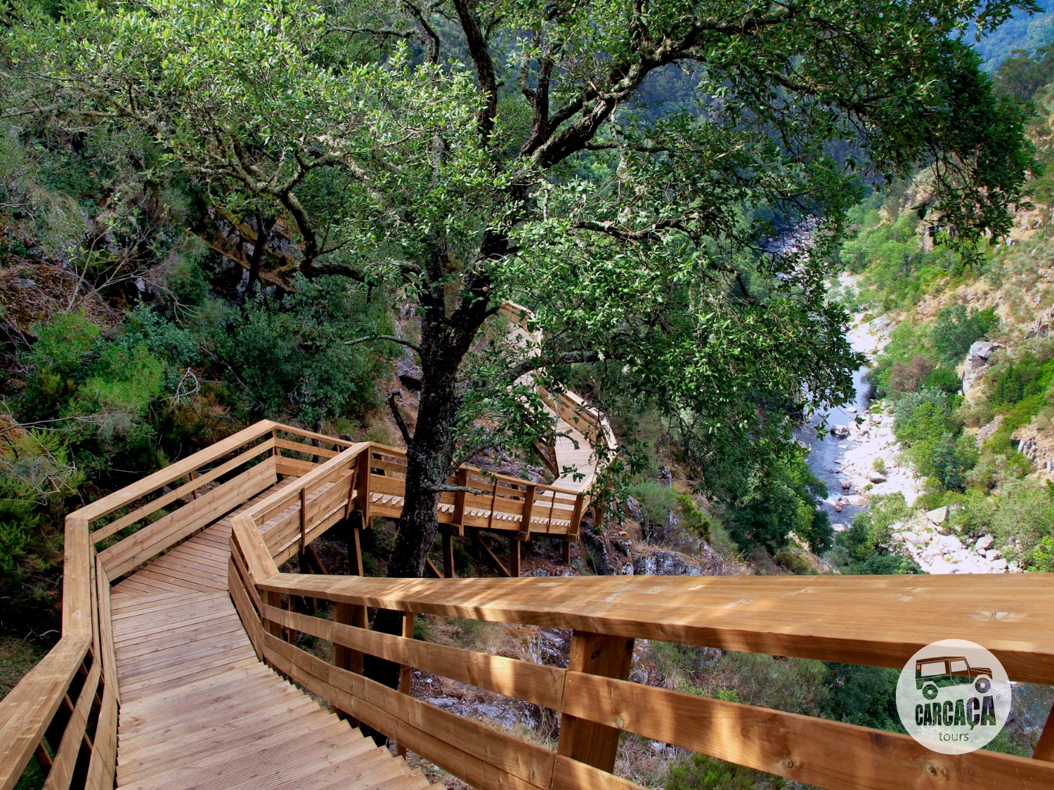 Ponte Suspensa 516 e Passadiços do Paiva